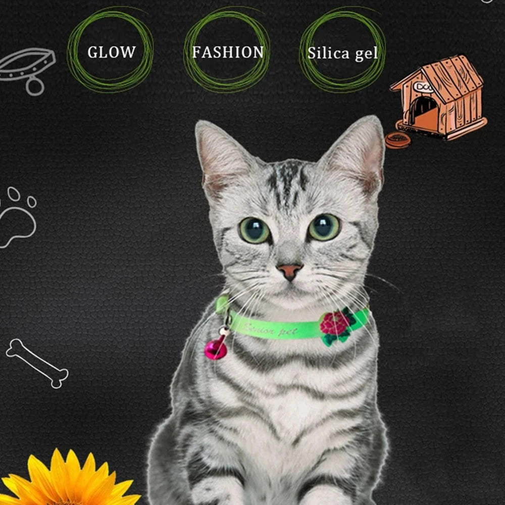 Collar Luminoso