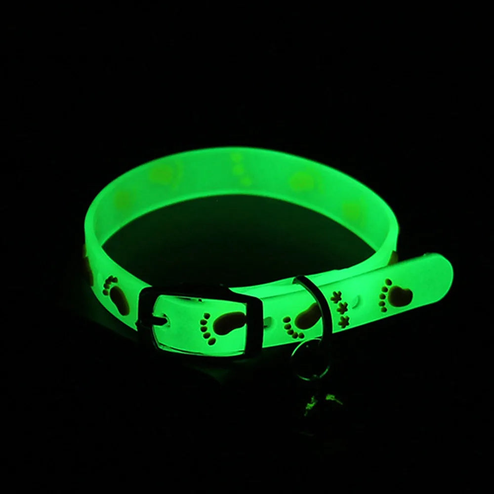 Collar Luminoso