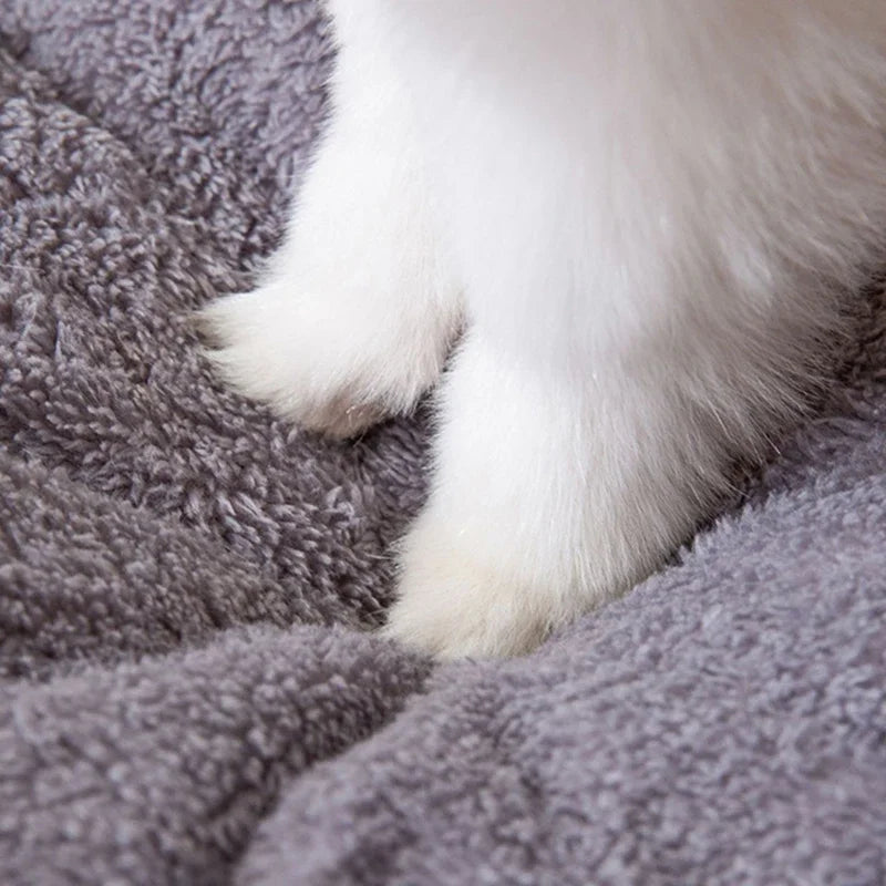 🐾 Cama Cueva