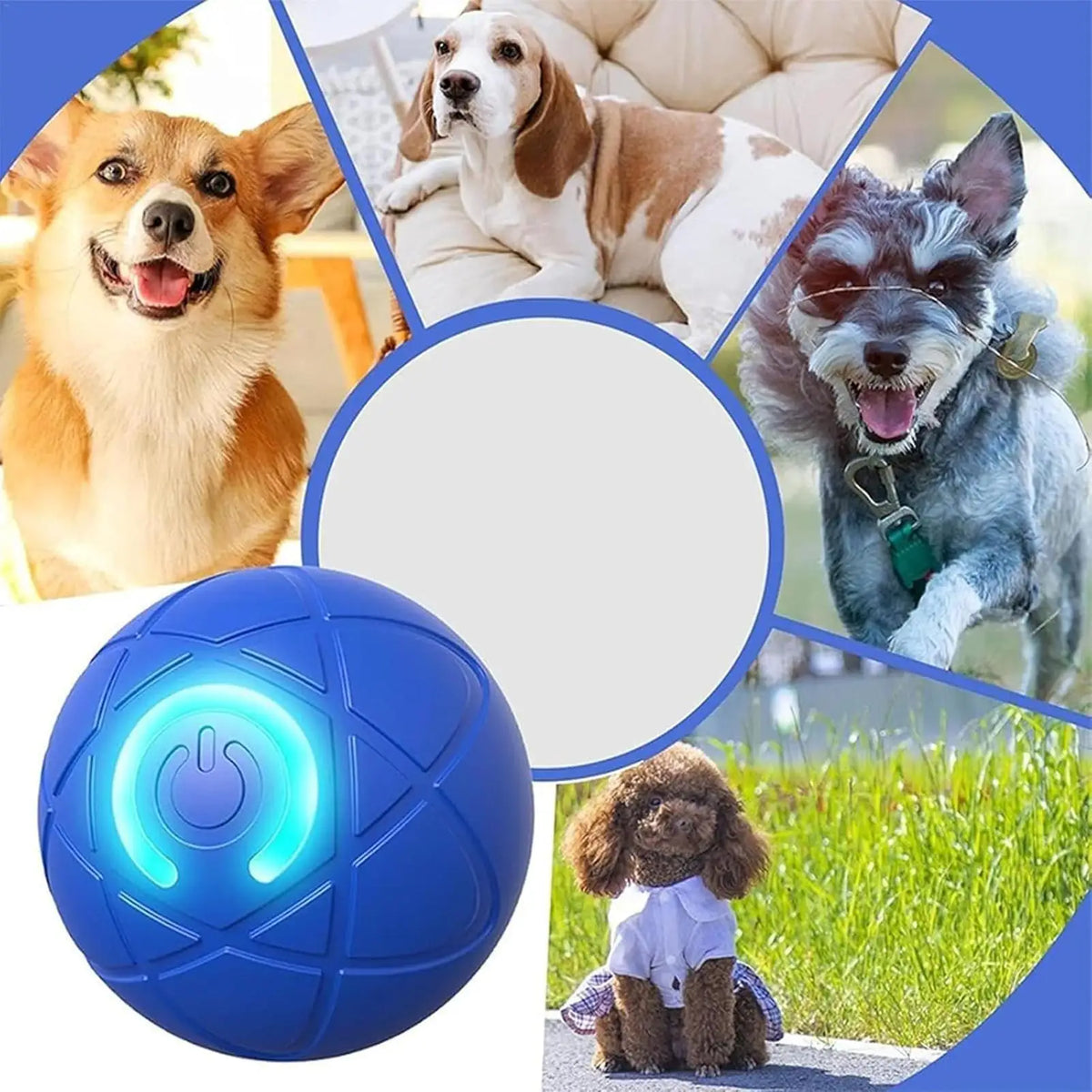 Pelota de diversion con ia