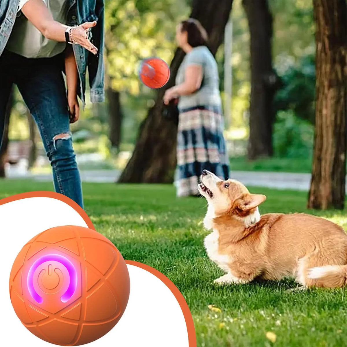 Pelota de diversion con ia