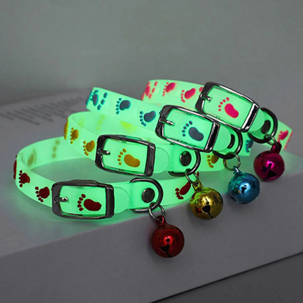 Collar Luminoso